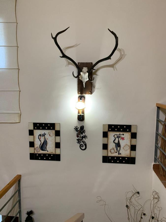 Apartamento Turistico El Esquilon Calzadilla Екстериор снимка